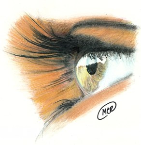 Woman's Eye